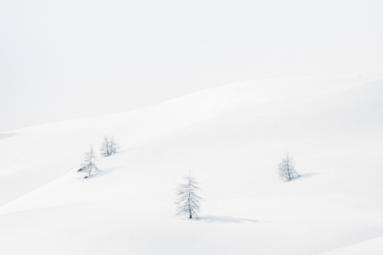 Arbres solitaires en hiver à Valloire